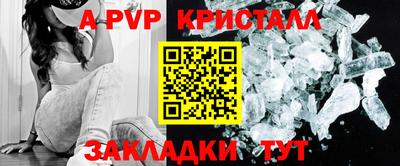спиды Будённовск