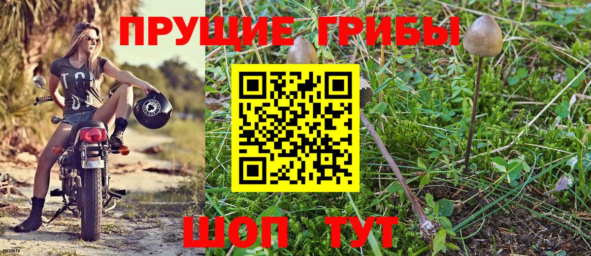 Галлюциногенные грибы Psilocybine cubensis  Вход с VPN  Копейск 